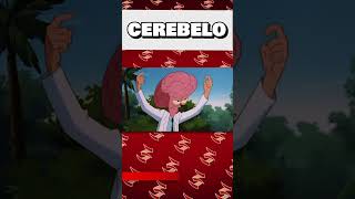 Cerebelo  Reviewmentario Freakazoid [upl. by Solracnauj]