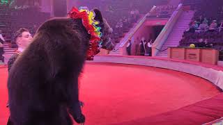 Amazing circus Bears show 素晴らしいサーカスのクマのショー [upl. by Stouffer967]