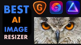 BEST AI IMAGE UPSCALER IN 2022 LUMINAR UPSCALE AI VS TOPAZ LABS GIGAPIXEL VS ON1 RESIZE AI [upl. by Ideih]