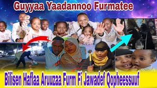 ❤Biliseen Qophii Aruuza Ykn Cidha Furmate Fi Jawade Irra Jirra [upl. by Edgardo]