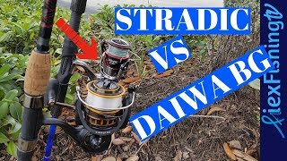 Daiwa BG Vs Shimano Stradic CI4 [upl. by Roi]