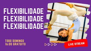 Aula de Flexibilidade Aprendendo a fazer Invertida Yoga  Claryssa Barbosa [upl. by Ahseik]