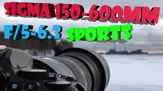 Sigma 150600mm F563 DG OS HSM Sports quick overview  zoom range demo with Nikon D5500 [upl. by Lorraine]