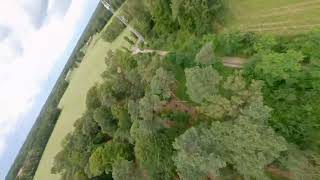 Fpv Drone  TreeStyle  Apex 5 [upl. by Einnek575]