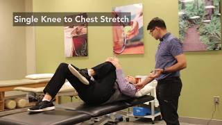 Wellstar OrthoSport How to Stretch for Sciatica Pain Relief [upl. by Carthy]