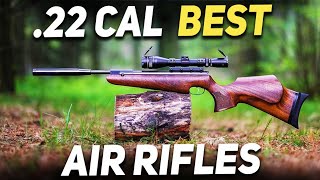 Top 10 Best 22 Cal Air Rifles In the World2022 [upl. by Dazraf]