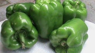 How to Freeze Green Peppers [upl. by Weld179]