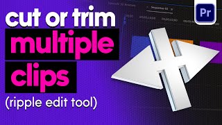 How to trim multiple clips in Premiere Pro [upl. by Yemerej216]