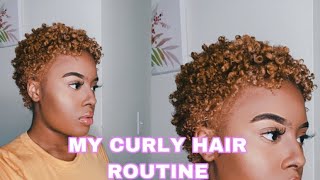 My Curly Hair Routine 💕  TWA 4B4C Hair  2020 💗 [upl. by Marilla]