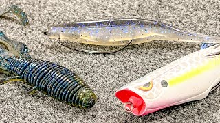 Top 5 Baits For Pond Fishing [upl. by Anon310]