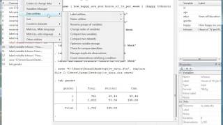 Stata Renaming and Labeling Variables [upl. by Pas]