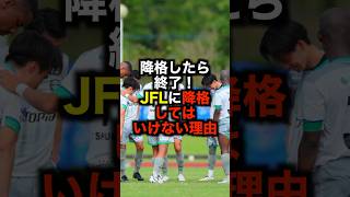 降格したら終了！JFLに降格してはいけない理由 サッカー サッカー解説 jリーグ jfl [upl. by Shoemaker]