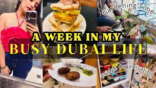 A Week Into Busy Life of Dubai  How Expats Are Living In Dubai dailyvlog fridgeorganization [upl. by Saibot462]