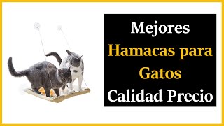 TOP 5 ✅ Mejores HAMACAS para GATOS 😻 Calidad Precio [upl. by Azarria]