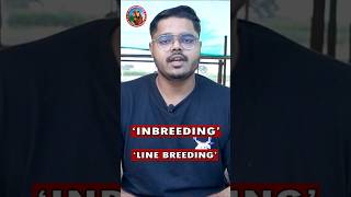 INBREEDING  LINE BREEDING  IN GOAT FARMING goatfarming [upl. by Adia]