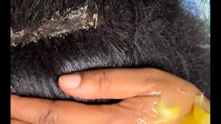 Asmr greasing scalp while chewing gum Sleep time [upl. by Dorcus]