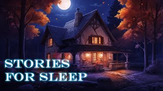 RAINY Sleep Stories  A Cozy Bedtime Story Collection [upl. by Buckie814]