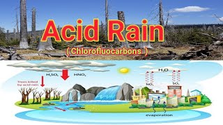 Acid Rain and Chlorofluorocarbons  CFCs  Lecture no 5 [upl. by Asehr]