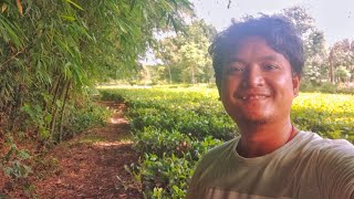 My Sibsagar Journey Ep 1  Assam  Vlog [upl. by Albemarle]