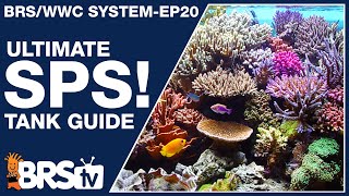 Ep20 The only SPS reef tank setup guide youll ever need  The BRSWWC System [upl. by Inol]