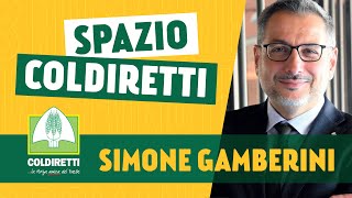 Simone Gamberini  Spazio Coldiretti [upl. by Kenzie]