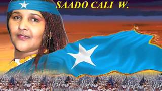 Saado Cali Warsame  New Song 2012  quotBuuhoodle Maxaa Kayaalaquot [upl. by Ecinnaj992]