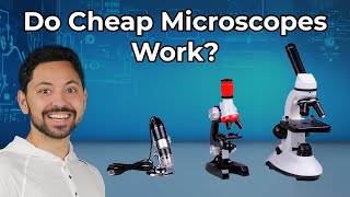 Do Cheap Microscopes Actually Work [upl. by Eille]