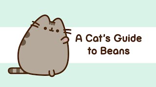 Pusheen A Cats Guide To Beans [upl. by Sukin]