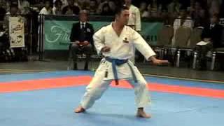 Mens Kata Wanshu JKF Wadokai Karate World Championship 2008 [upl. by Doomham314]