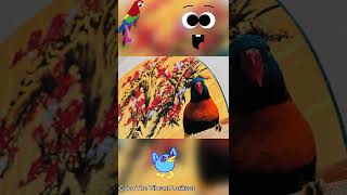 🦜 Bird mimicking coughing sound 😂  Talking Parrot  Lorikeet [upl. by Selec270]