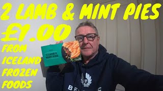 2 LAMB amp MINT PIES FROM £1 AISLE ICELAND FOOD REVIEW [upl. by Monarski362]