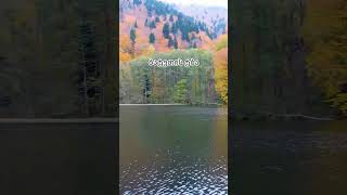 ბატეთის ტბა ძამას ხეობა ქარელი შედა ქართლი  Bateti Lake Dzama valley Kareli Shida Kartli Georgia 4k [upl. by Anawaj214]