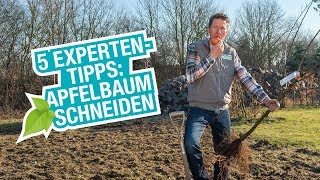 Der Apfelbaum Pflanzen schneiden und düngen [upl. by Crowns]