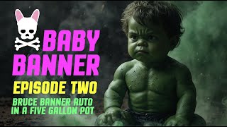 Bruce ‘Baby’ Banner Autoflower  5 Gallon Pot  Episode 2  Spider Farmer SF2000 [upl. by Nho]