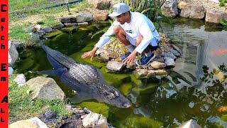 MONSTER STEALING FISH from MY POND [upl. by Cathy238]