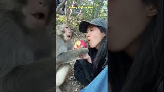 Cute monkey eating apple with girl [upl. by Henri]