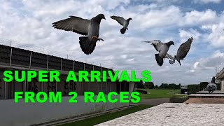 SUPER ARRIVALS From 2 RACES [upl. by Einnahc]