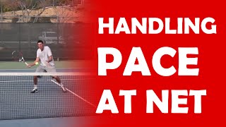 Handling Pace At Net  DIFFICULT VOLLEYS [upl. by Jaunita]