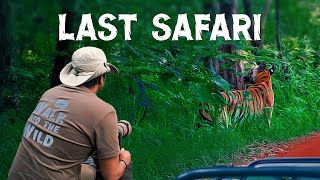 Last Safari with Giant Spiders  Pench Tiger Reserve  4K Video Hindi  हिन्दी [upl. by Atwater]