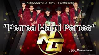 Perrea Mami Perrea  Los Junior [upl. by Meggs]