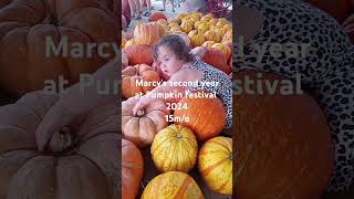 Fruitville Grove Pumpkin festival pumpkinfestival sarasota florida 2024 [upl. by Ahsoek]