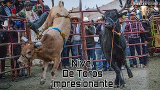 NIVEL DE TOROS IMPRESIONANTE  Ganaderia La Yurirense y Ganaderia Escuela de Rancho en Chehuayo G [upl. by Bennie313]