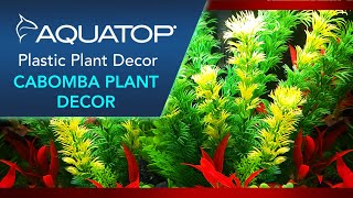 Aquatop Aquarium Plastic Decor Cabomba Plant [upl. by Nogaem]