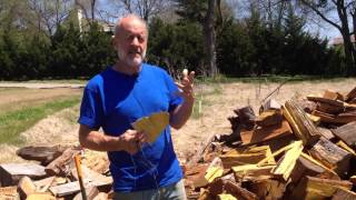 Osage Orange Firewood April 17 2014 [upl. by Hailat]