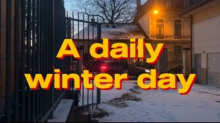 A daily winter day in Belgium 🇧🇪❄️ [upl. by Dnomad]