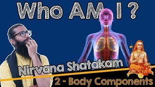 Nirvana shatakam Lyrics with Meaning nirvanashatakam sadhguru soundsofisha [upl. by Attelrac]