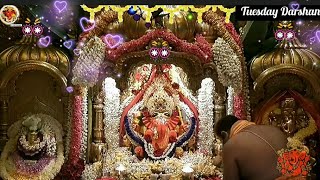 Siddhivinayak Darshan15th Oct 2024🌷🌹 Omkara108 ganpati ganeshchaturthi youtube [upl. by Nuj]