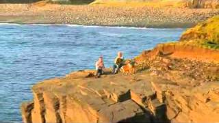 Irish traditional music from Doolin with Christy Barry amp Petr Pandula [upl. by Aihsercal869]