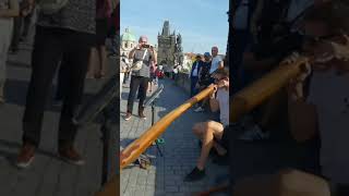 Traditional music of Praguesobysadventures travelvlogshortfeed praguetrip Charlesbridge [upl. by Hanad]