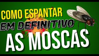 Como ESPANTAR em DEFINITIVO as MOSCAS [upl. by Proudman]